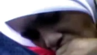 පුන්චි Caprise cock.