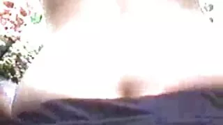 ඔහු තම වලිගය wagges හා අසල්වැසියා විසින් කෙළ ලක්වෙයි.