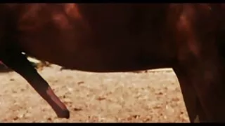 Blue girl has interracial sex.