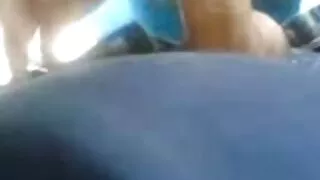 Tru Kait ව්යායාම් කරන්නේ හා dildo සමග ඇගේ pussy.