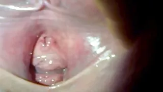 රැජින Moonshine ස්වයං වින්දනය සහ තේ සාදය ඒකාබද්ධ කරයි