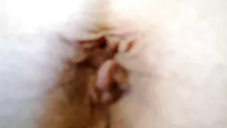 මයේ මිලානෝ වාසනාව පාහියන් ඉදිරිපිට ඇගේ කකුල් ව්යාප්ත