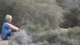 පච්ච චෙක් නඵ දී කෙළ වෙයි.