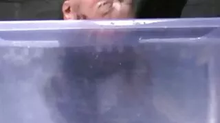 සුදු ලැබෙන අවිවාදයෙන්ම කොටළුවා විසින් පැරණි කළු මිනිසා.