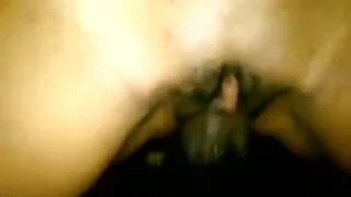 රුසියානු MalEssica Malone සැරයටිය විසින් විශාල කුකුළා.