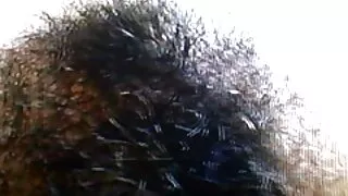 රොක් එම් එමර්සන් ගුද කෙල ගනී.