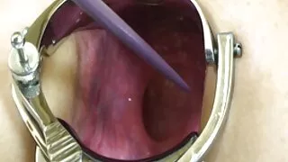 ඔහු ලිංගික ගා ගා සඳහා ඔහුගේ පෙම්වතිය